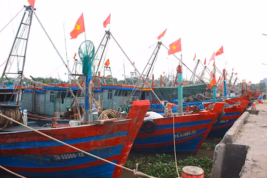 Tàu thuyền neo đậu tại Cảng cá Tân Sơn (xã Thái Thuỵ, Hưng Yên).