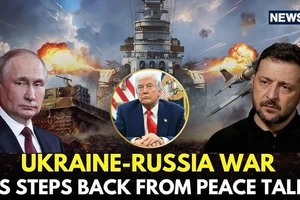 Chỉ ông Putin mới kết thúc được cuộc chiến ở Ukraine