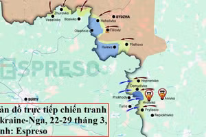 Thất bại ở Kursk, Ukraine tiếp tục sai lầm ở Belgorod?