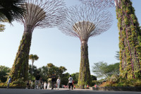 Singapore - những điểm du lịch đứng 