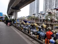 Chợ đào quất ế ẩm ngày cận Tết, tiểu thương ngán ngẩm bán đồng giá