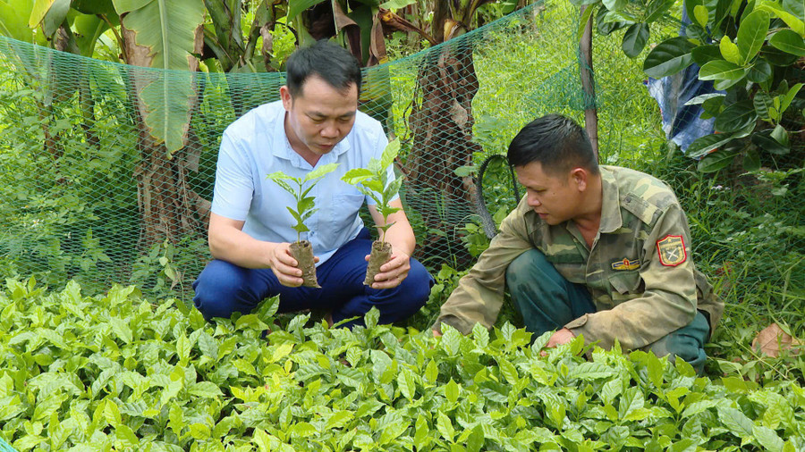 Người dân xã Chiềng Sinh chú trọng phát triển kinh tế hướng tới giảm nghèo bền vững.