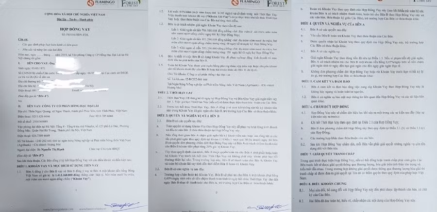 Khách hàng “vỡ mộng” dự án Condotel ở Đại Lải Flamingo ảnh 3