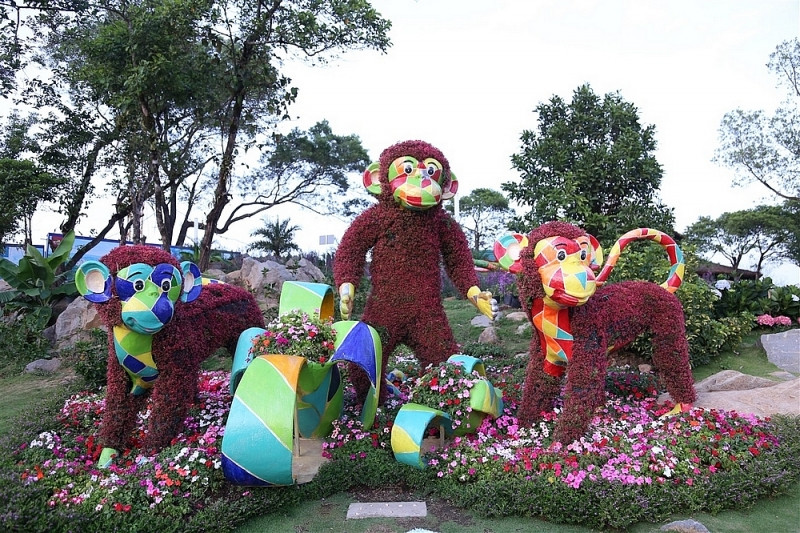 ngam nhin nui ba tay ninh dep vi dieu nhung ngay dau xuan