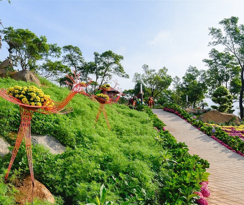 ngam nhin nui ba tay ninh dep vi dieu nhung ngay dau xuan