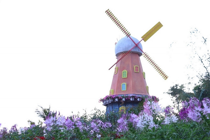 ngam nhin nui ba tay ninh dep vi dieu nhung ngay dau xuan