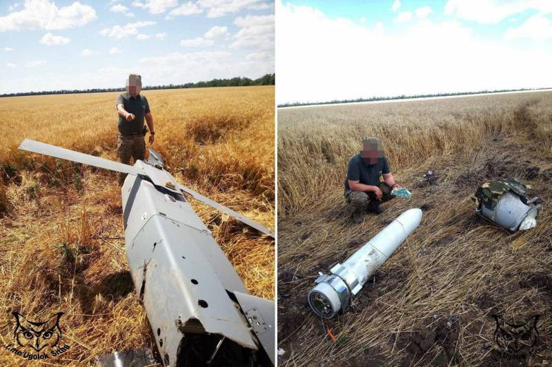 Nhiều chi tiết của tên lửa hành trình Storm Shadow vẫn còn khá nguyên vẹn sau khi bị rơi.