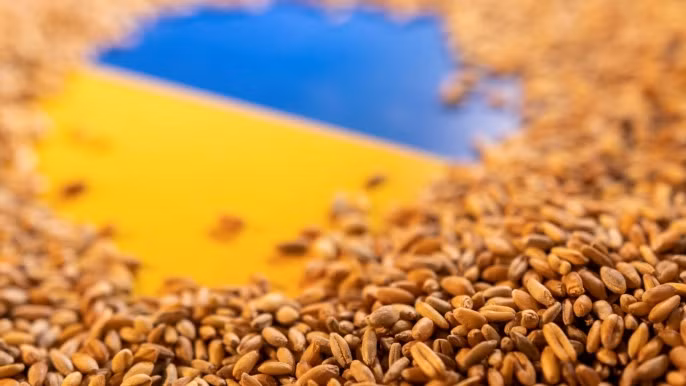 Ukraine khẳng định đã tạo dựng được hành lang xuất khẩu ngũ cốc mới trên Biển Đen.