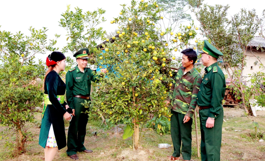 Cán bộ Biên phòng hướng dẫn người dân thôn Bản Thăng, xã Tùng Vài (Tuyên Quang) kỹ thuật chăm sóc cây trồng, phát triển kinh tế 2-tung-vai.png