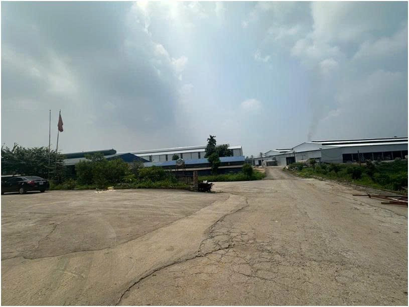 Hợp tác xã sản xuất giấy Phù Ninh bị xử phạt 320 triệu.