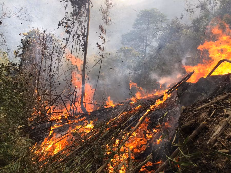 Địa hình phức tạp khiến việc dập lửa gặp nhiều khó khăn.