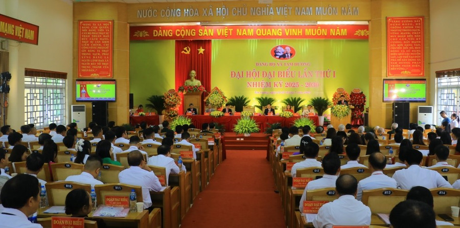 Quang cảnh đại hội. tam-duong.jpg