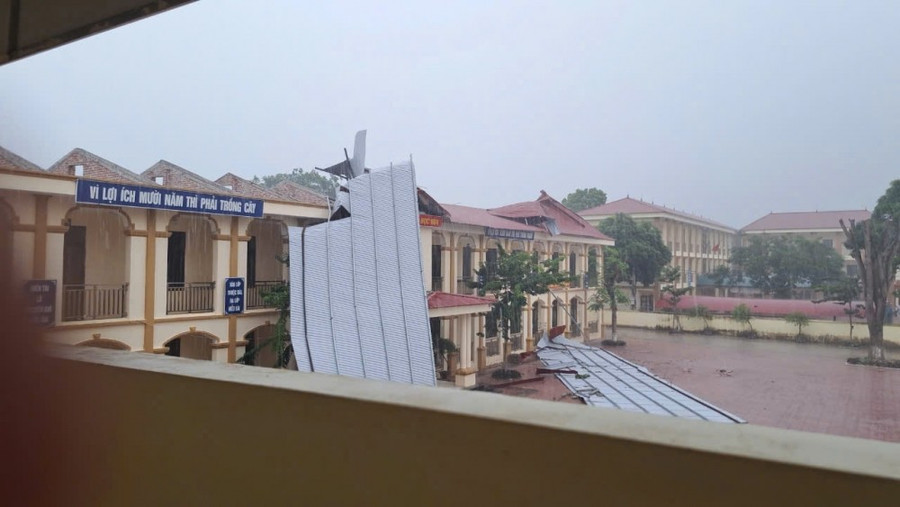 Ảnh minh họa