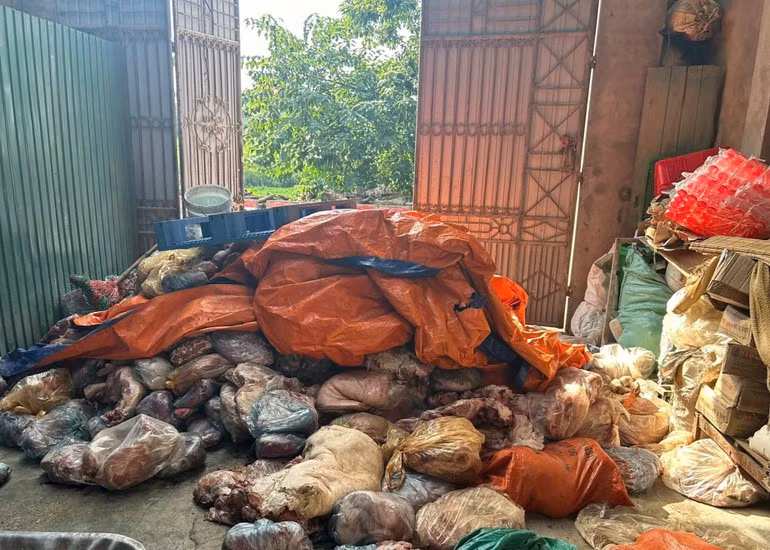 Hàng tấn thịt lợn bốc mùi hôi thối được phát hiệt tại nhà ông Hoàng Văn Kiểm. Ảnh: CA xã Liên Châu. 