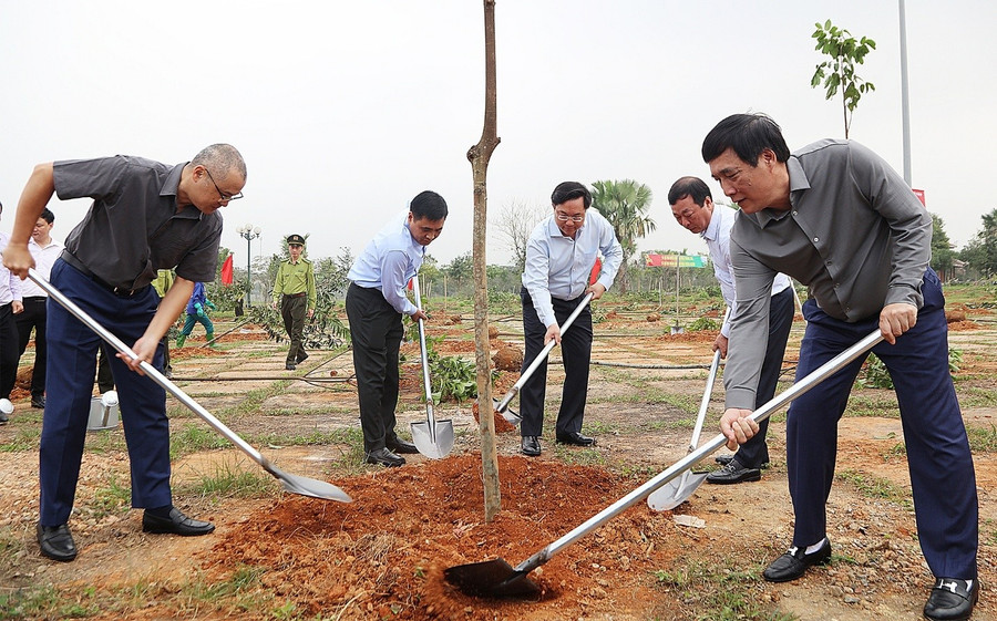 Đã có hơn 1.000 cây xanh các loại được tỉnh Phú Thọ trồng tại Tết trồng cây.