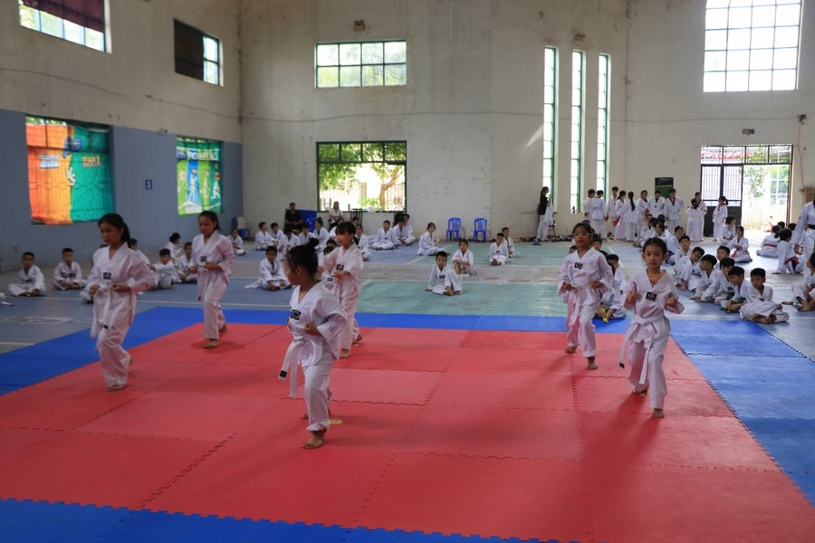 Hoạt động biểu diễn võ thuật tại chương trình. tttd4.jpg