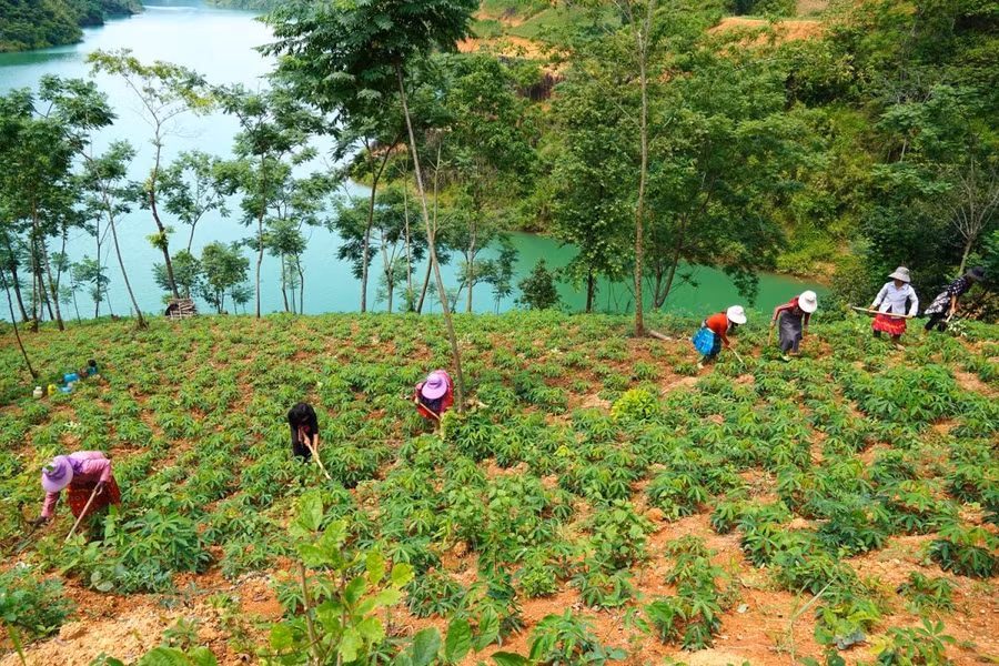 1 chuyen đôi ngo sang san.jpg