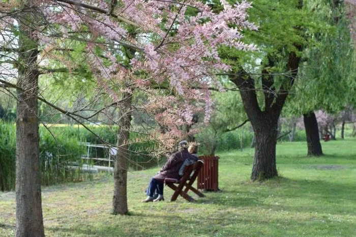 truyen ngan hoa hong that tich.jpg