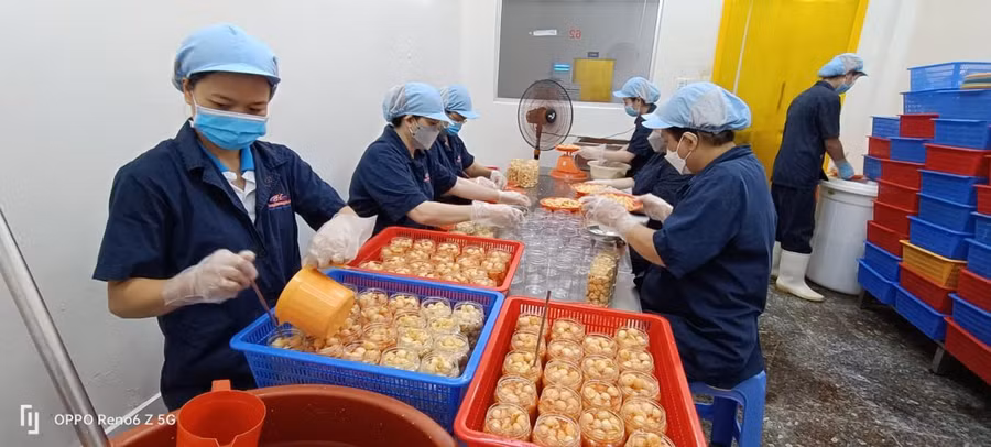 tphcm lam gi de tang toc thuc day cong nghiep ho tro doanh nghiep (2).jpg