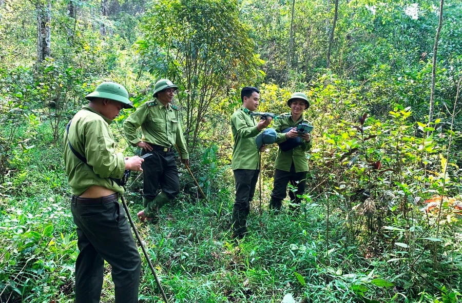 Các chủ rừng Nhà nước, tổ chức rừng ở Thanh Hóa đang gặp khó trong giải ngân tiền bán tín chỉ carbon, trong đó có Ban Quản lý Khu bảo tồn thiên nhiên Pù Hu (Quan Hóa). Ảnh: Hồng Đức