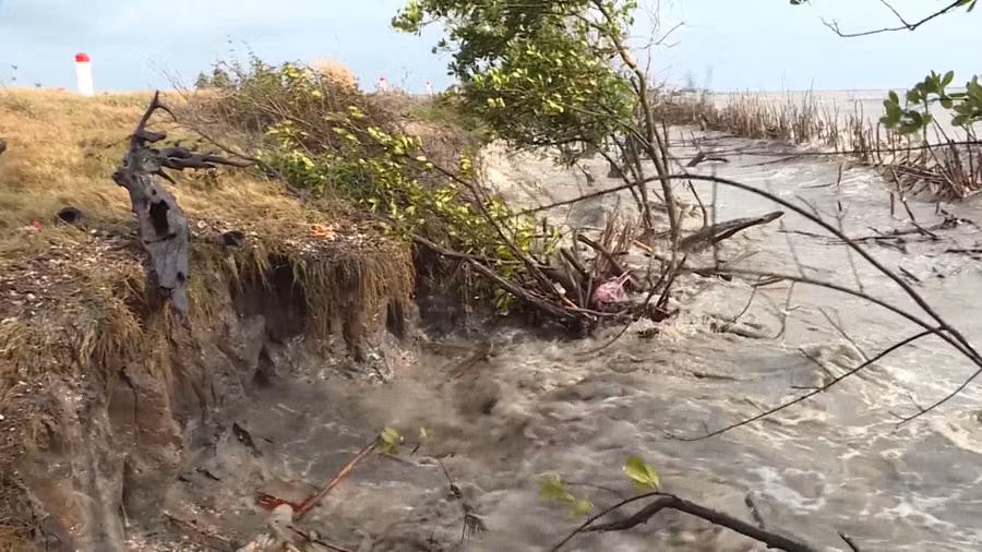 ca mau dong bo giai phap cuu bo bien (2).jpg