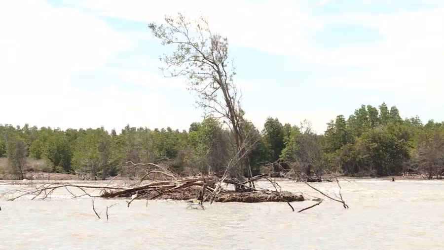 ca mau dong bo giai phap cuu bo bien (3).jpg