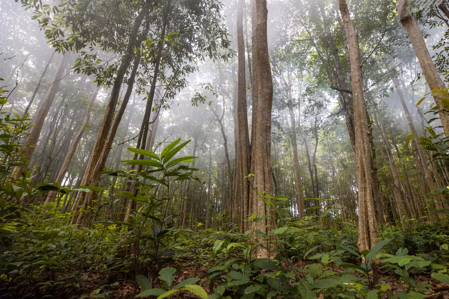 Nui tho cam va noi oan hoa da (4).jpg