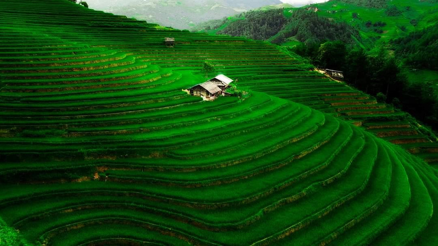 mu cang chai ve dep sieu thuc hang dau the gioi (8).jpg