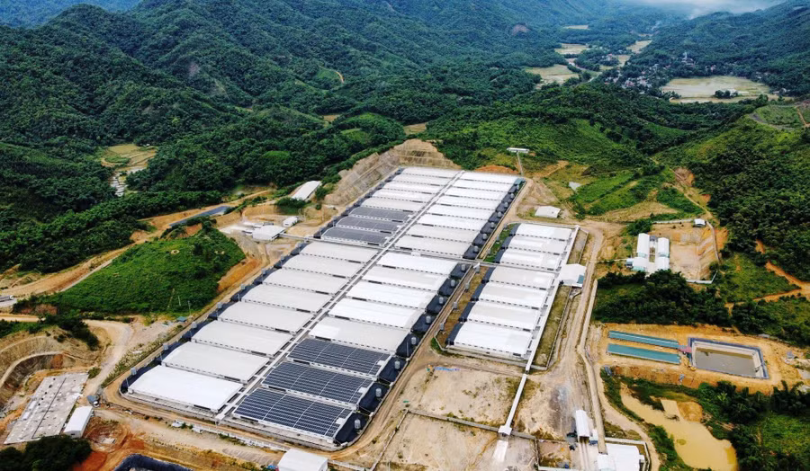 Trang trại chăn nuôi lợn công nghệ cao kết hợp trồng rừng sản xuất của Công ty Agri-Vina tại xã Tân Phúc (Lang Chánh, Thanh Hóa).