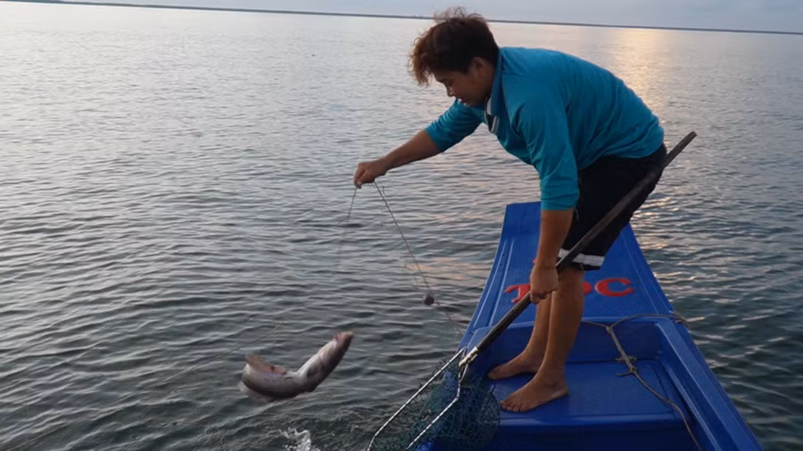 nghe cau kieu o ca mau (5).jpg