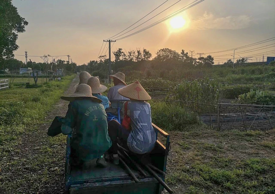 Nông dân trở về nhà sau giờ làm việc. Ảnh: Sixthtone