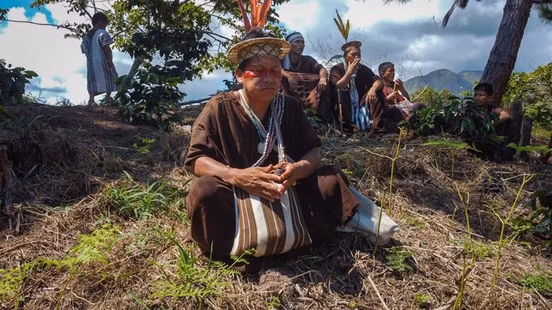 tho dan roi que huong vi bien doi khi hau (3).jpg