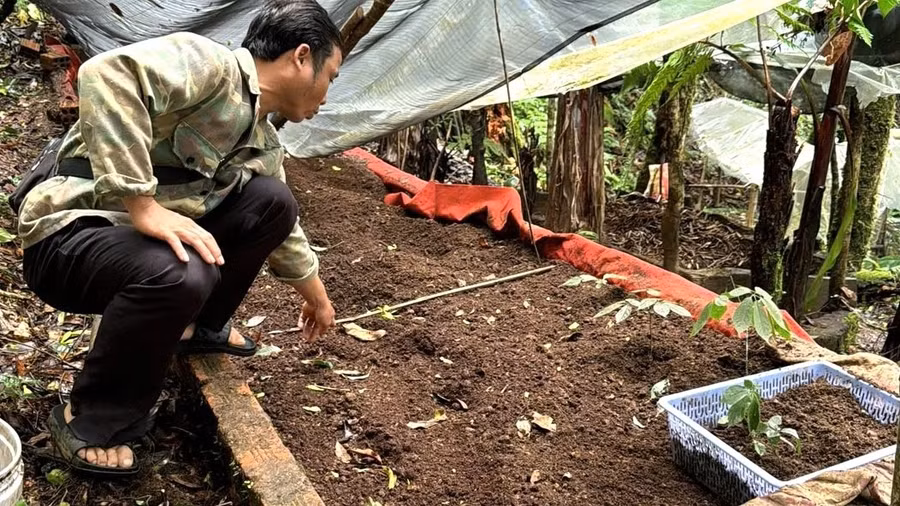 kon tum nguoi trong sam ngoc linh doi mat voi nan trom cap (2).jpg