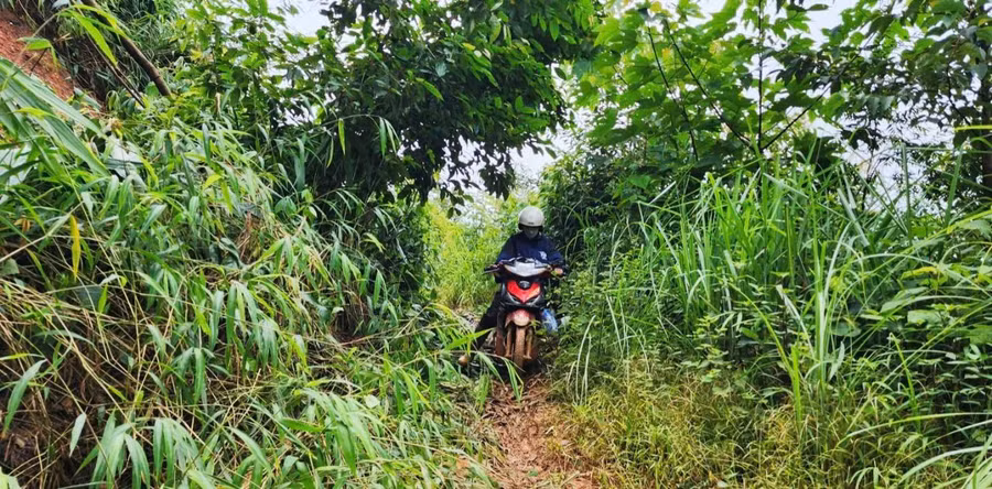 Thầy, cô giáo Nậm Lạn, xã Mường Lạn (Sốp Cộp, Sơn La) vượt đường gồ ghề bám bản dạy chữ. Ảnh: Hà Hoàng