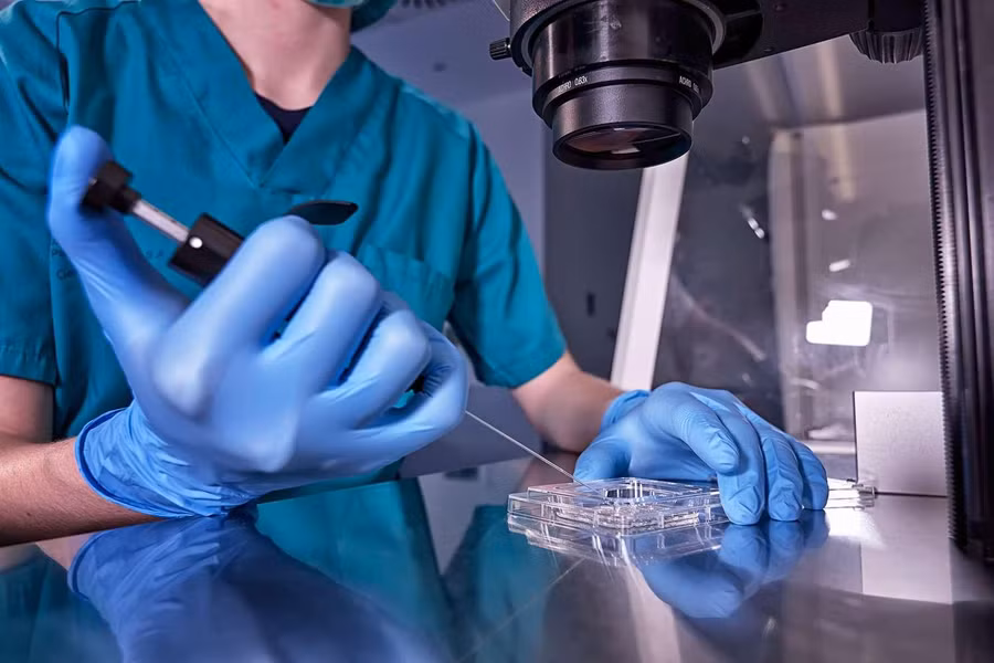 Hiến trứng là ngành công nghiệp phát triển mạnh mẽ tại Nigeria.