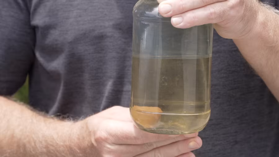 phong chong dich benh sau bao lu canh bao nguy co o nhiem.png