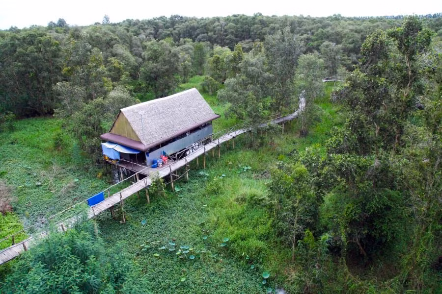 Mùa nước nổi, từ tháng 8 - 11, là thời điểm đẹp nhất để trải nghiệm vẻ đẹp rừng tràm. Muốn quan sát toàn cảnh, du khách có thể leo lên lầu vọng cảnh, sử dụng kính viễn vọng ngắm chim bay lượn.