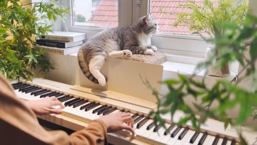 truyen ngan dong dieu noi tam hon (3).jpg