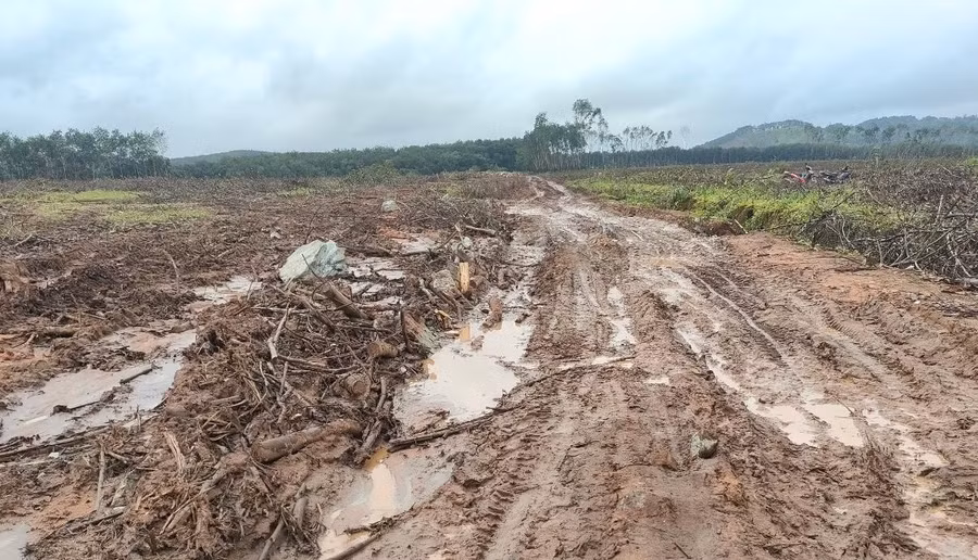 kon tum xe cho cay cao su cay nat duong vao khu san xuat (1).jpg