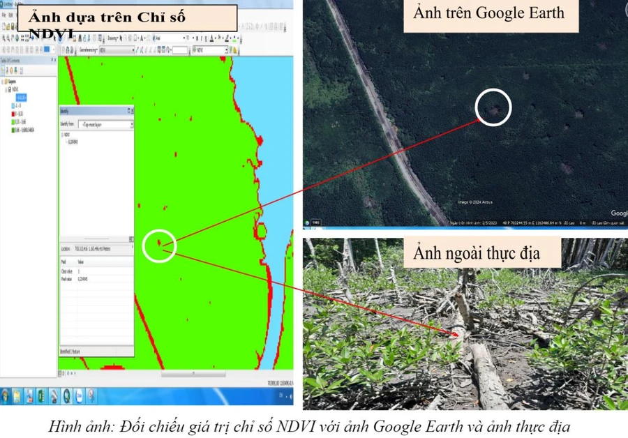 Đối chiếu giá trị chỉ số NDVI với ảnh Google Earth và ảnh thực địa.