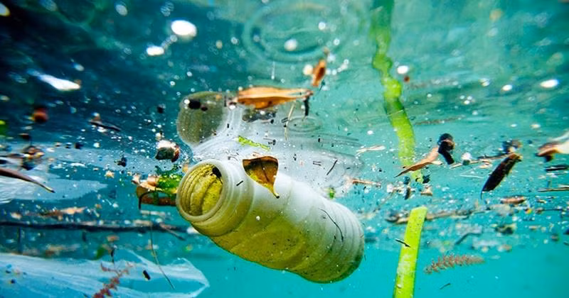 Hạt vi nhựa trong nước không thể nhìn thấy bằng mắt thường nếu không có các công nghệ phân tách và nhận diện.