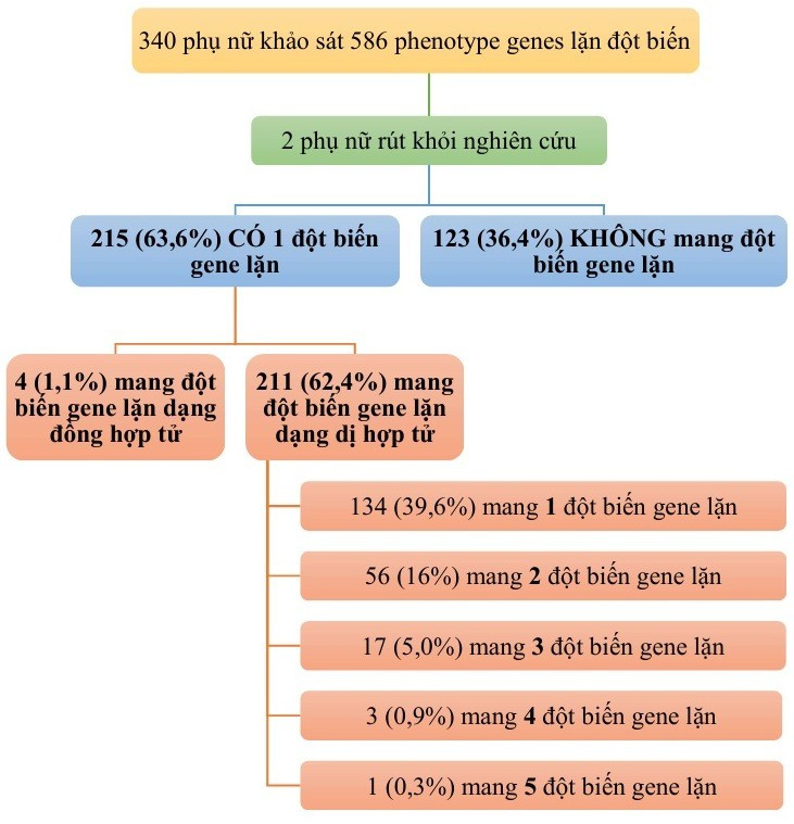 Nguy cơ mang bệnh trong gene lặn ở phụ nữ