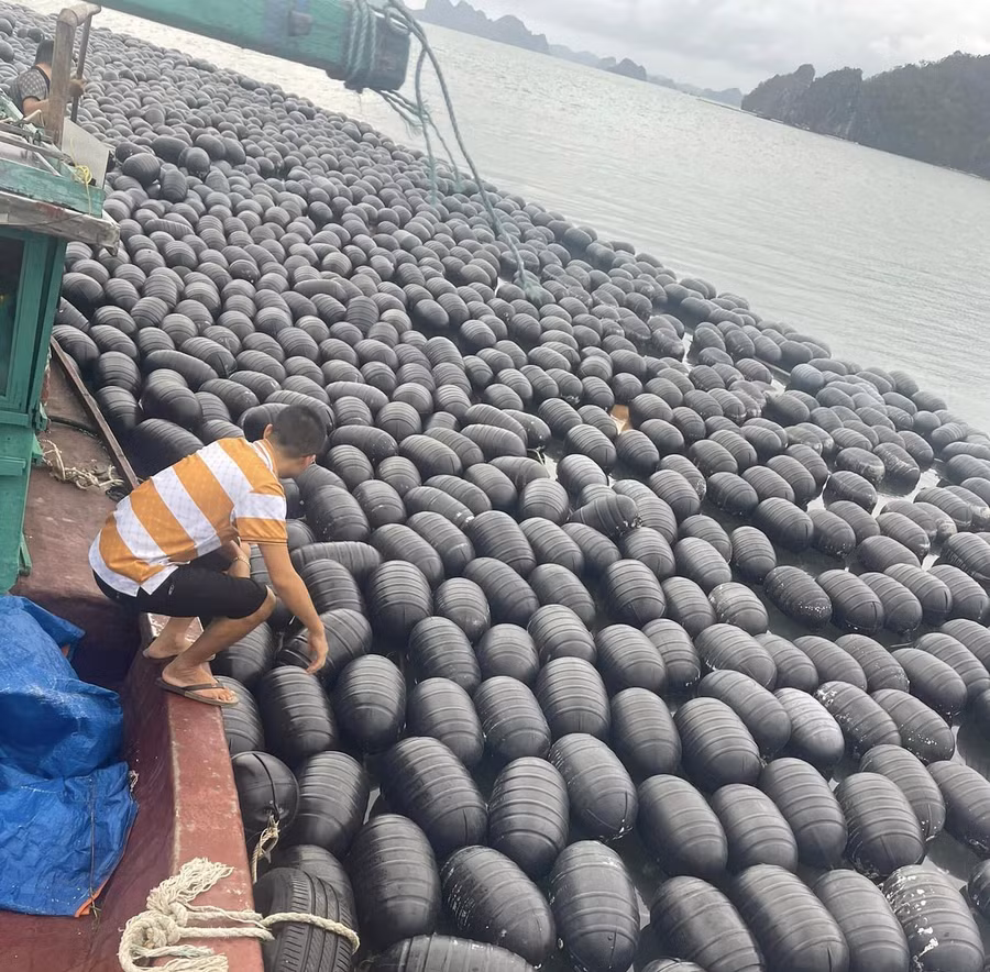 giai bai toan xuat khau thuy san (1).jpg