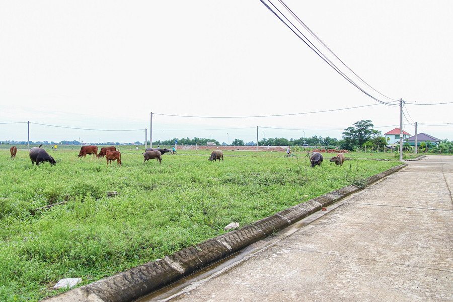 nghe an xom chai ben song lam mon moi cho tai dinh cu (4).jpg