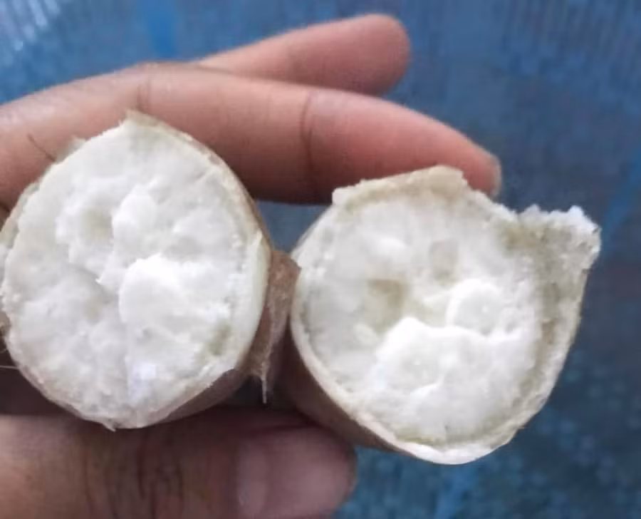 Khoai lang Bai Thuong 4.jpg