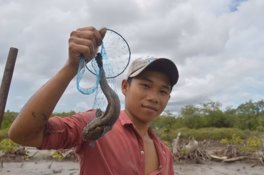 Người dân bắt cá thòi lòi bằng xà di lưới.