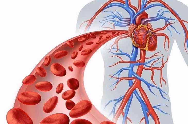 roi loan chuyen hoa trong co the (2).jpg