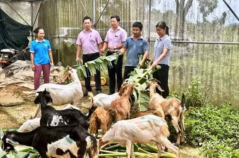 ngheo.jpg