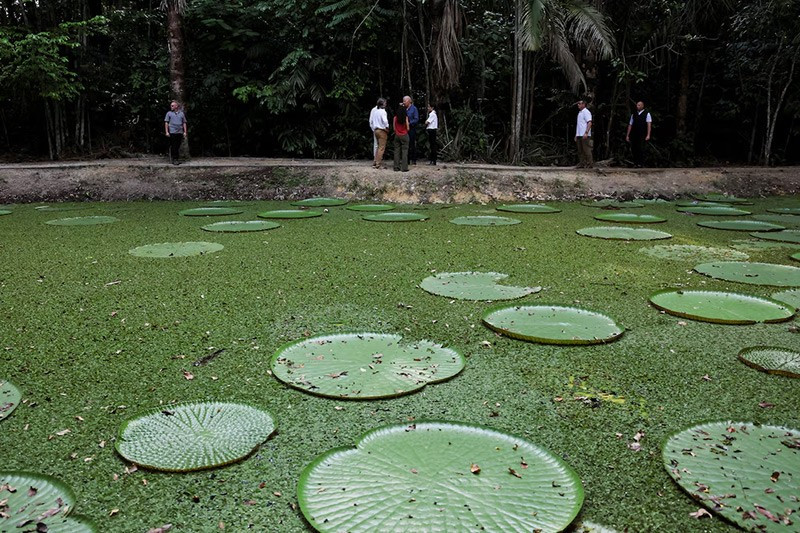 us-president-joe-biden-visits-amazon-rainforest-03.jpg