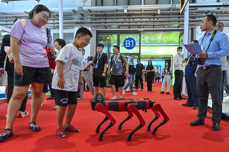 Chum-anh--Can-canh-Hoi-nghi-Robot-The-gioi-2024-3.jpg